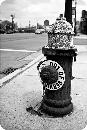 Detroit Dehydrated